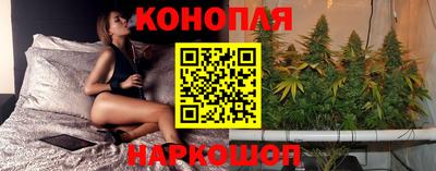 спиды Будённовск
