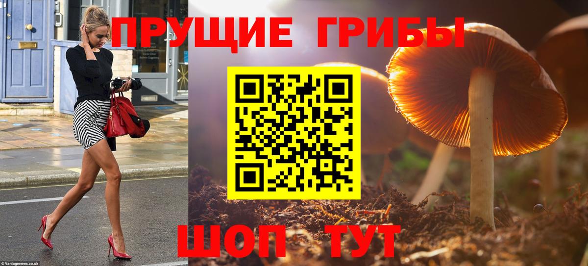 Псилоцибиновые грибы MAGIC MUSHROOMS  Вход с VPN  Чебаркуль  Галлюциногенные грибы MAGIC MUSHROOMS 